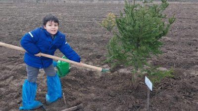 Beş bin fidan toprakla buluştu