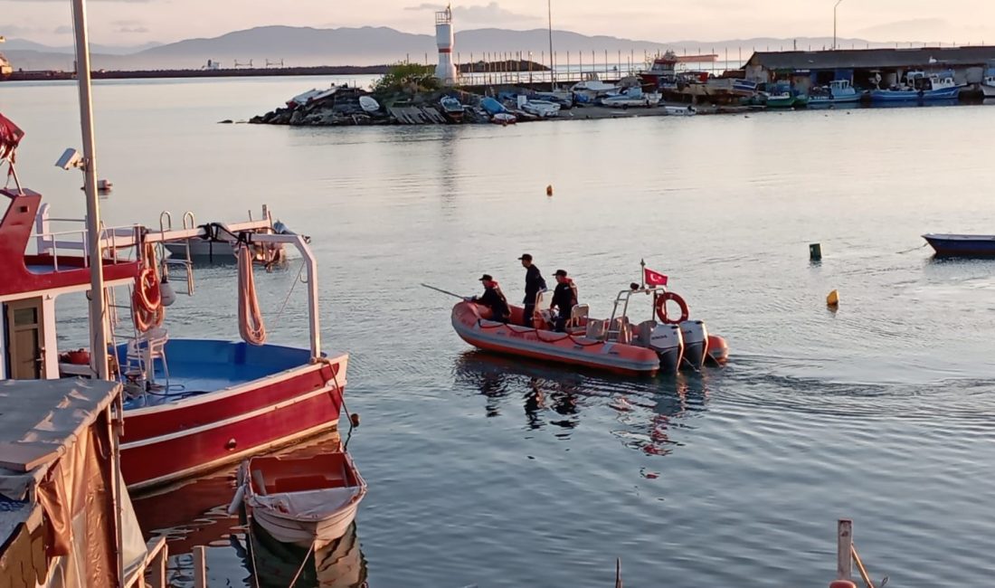 Yolunu şaşıran yavru yunus kurtarıldı Zonguldak’ın Ereğli ilçesinde Bozhane