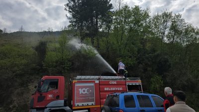Kastamonu’nun Cide ilçesinde ormanlık alanda çıkan yangın, itfaiye ekiplerinin müdahalesi