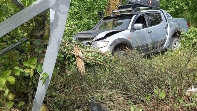 Zonguldak’ın Alaplı ilçesinde elektrik direğine çarptıktan sonra fındık tarlasına uçan