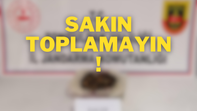 Zonguldak İl Jandarma Komutanlığı ekiplerince, 30.04.2024 tarihinde Çaycuma ilçesi Sandallar
