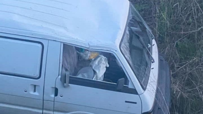 ARI KOVANI YÜKLÜ ARAÇ KAZA YAPTI