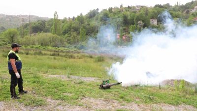 Zonguldak Belediyesi Veteriner İşleri Müdürlüğü ekipleri tarafından çevre ve halk