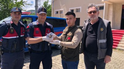 Yaralı Çoban Aldatan’a Yardım Eli!