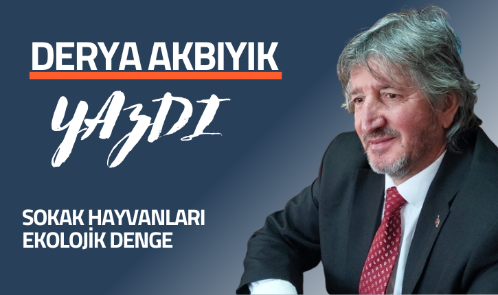 SOKAK HAYVANLARI / EKOLOJİK DENGE