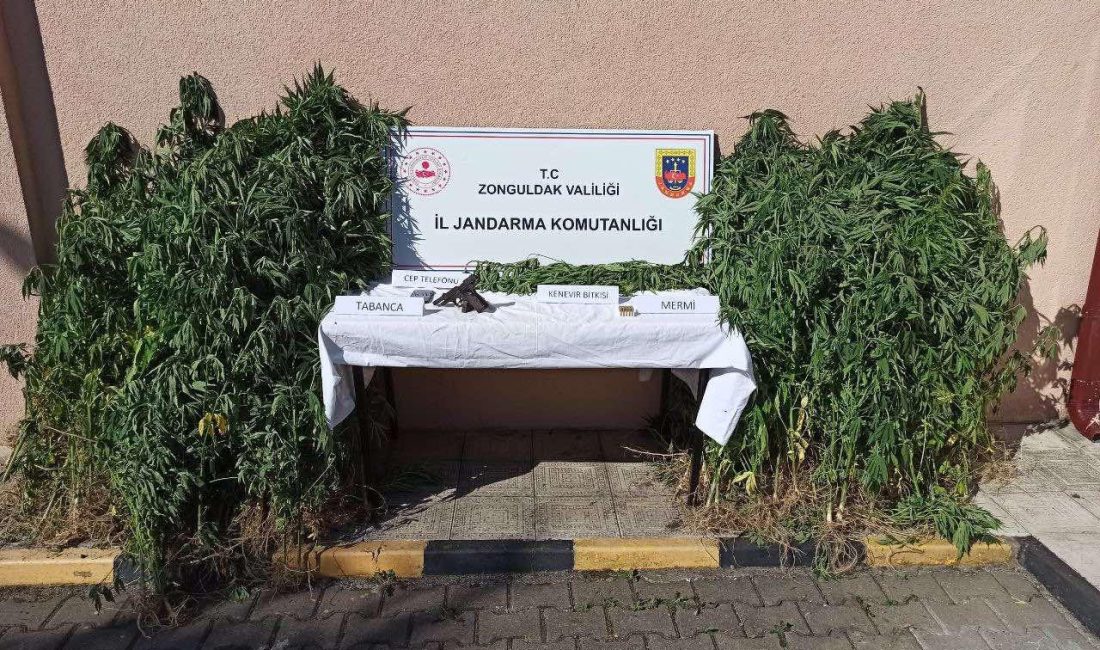 UYUŞTURUCU OPERASYONU: 5 ŞÜPHELİ YAKALANDI! Zonguldak İl Jandarma Komutanlığı