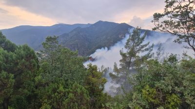 yıldırım düşmesi nedeniyle çıkan orman yangını kısmi olarak kontrol altına