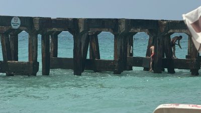 CANLARINI TEHLİKEYE ATTILAR