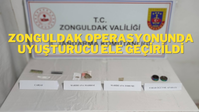 Zonguldak İl Jandarma Komutanlığı ekipleri, Gökçebey ilçesinde bir şahsın Belçika’dan