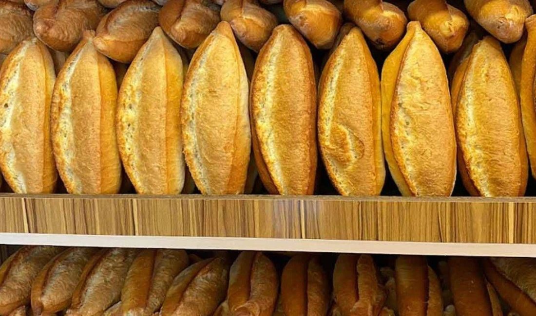 İlk etapta 15.000 ekmek üretilecek Zonguldak Belediye Başkanı Tahsin