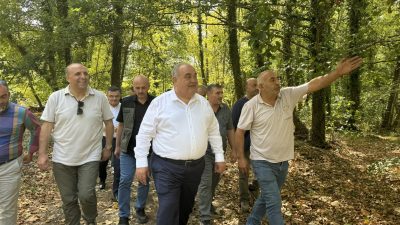 ORMANCILIK FAALİYETLERİNİ İNCELEDİLER