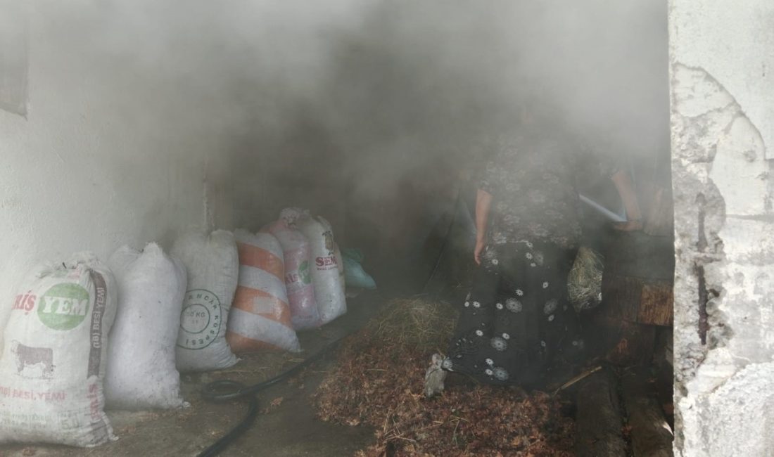 AHIRDA YANGIN! Zonguldak’ın Alaplı ilçesine bağlı