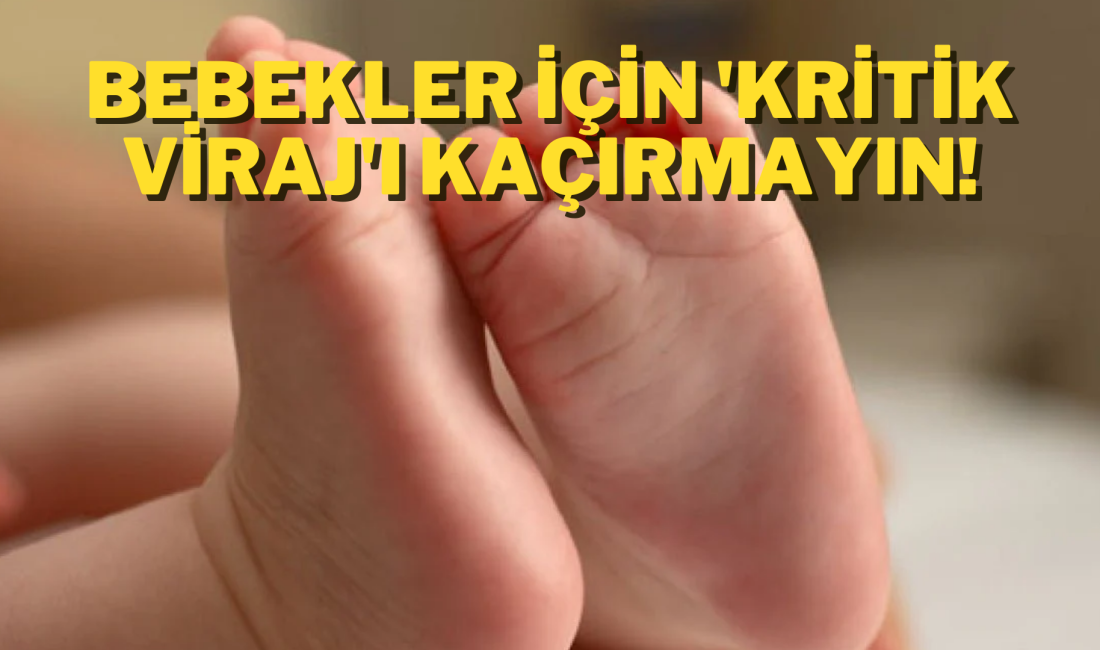 Zonguldak Bülent Ecevit Üniversitesi Tıp