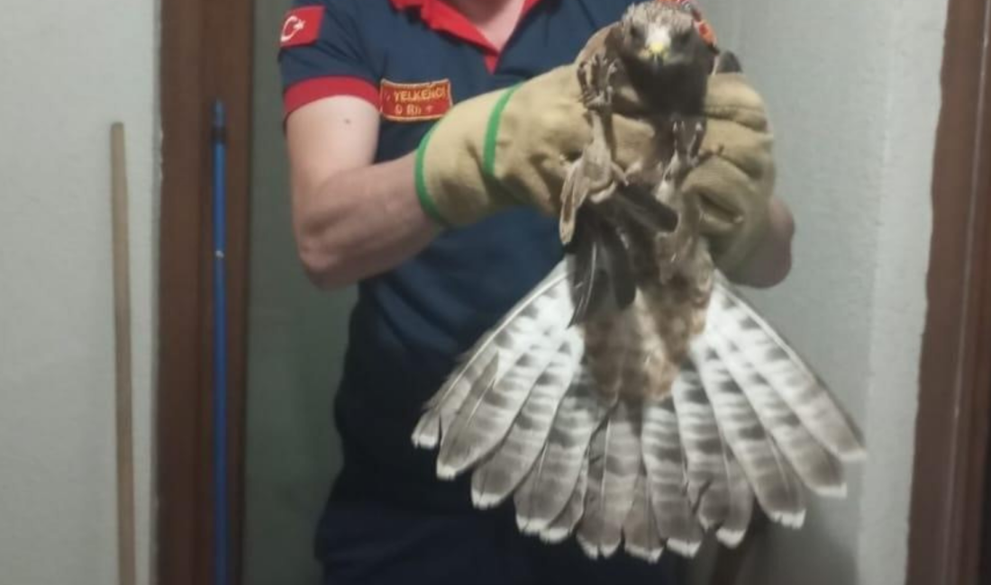 KÖTÜ ŞANS MI, İYİ FIRSAT MI? Zonguldak’ın Kozlu ilçesinde bir