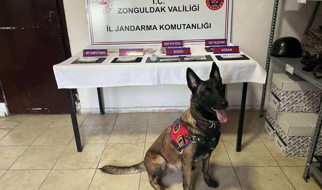 JANDARMA DENETİMLERİ SÜRDÜRÜYOR Zonguldak İl Emniyet Müdürlüğü ve