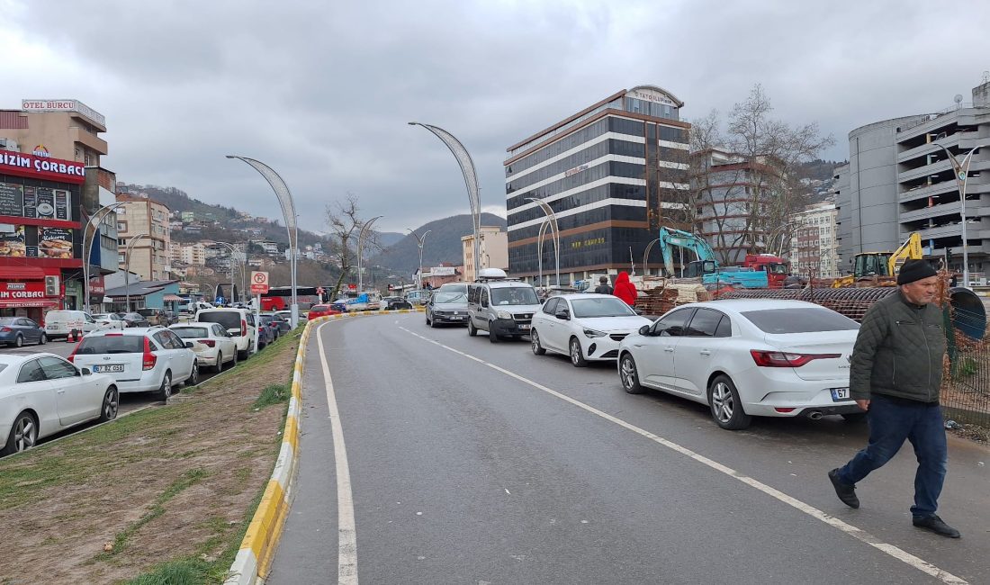 Zonguldak’ta hatalı park yapan