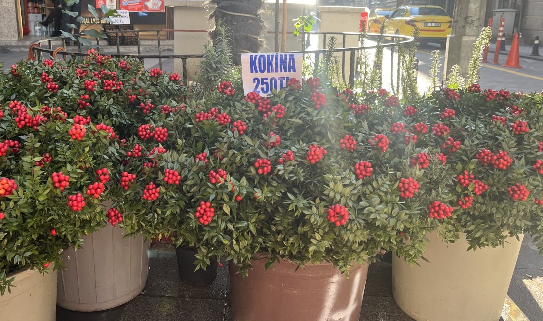 Türkiye’nin pek çok noktasında,