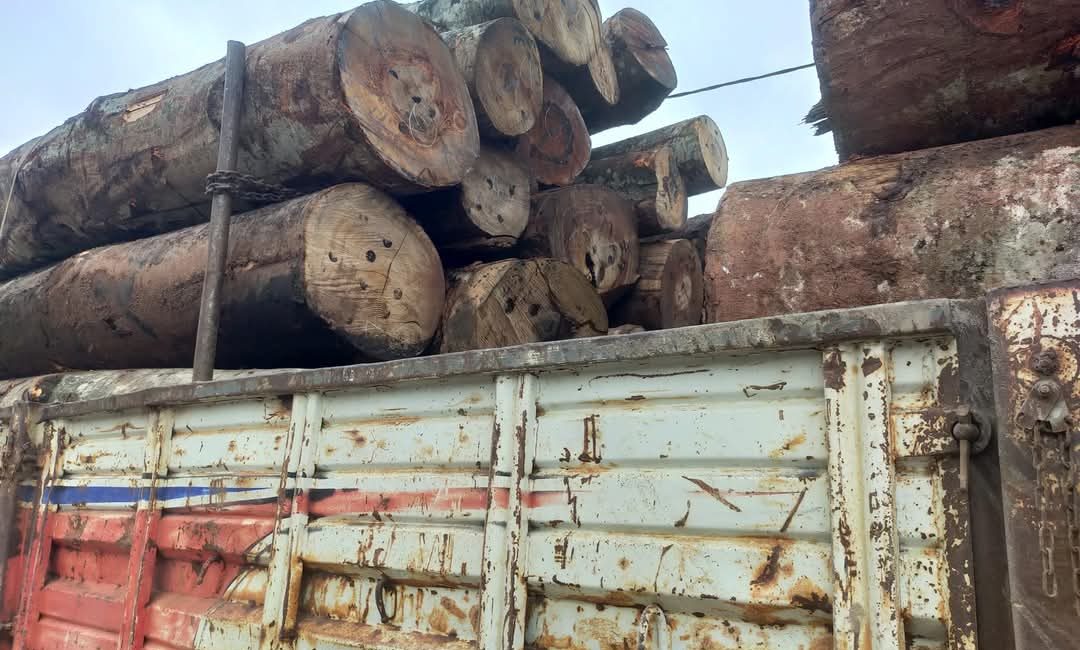 Zonguldak Orman Bölge Müdürlüğü,