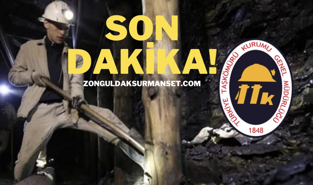 Türkiye Taşkömürü Kurumu (TTK),