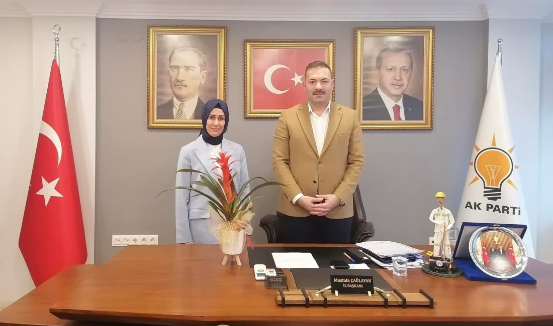 Ak Parti Kozlu Kadın