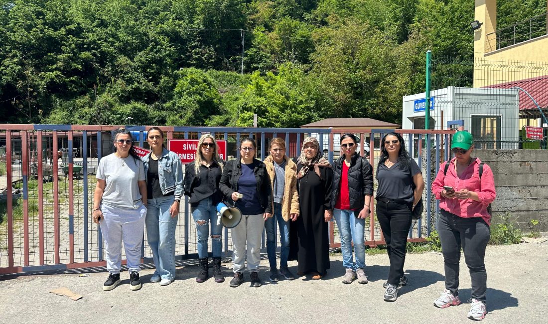 Zonguldak Hayvan Barınağı Veteriner