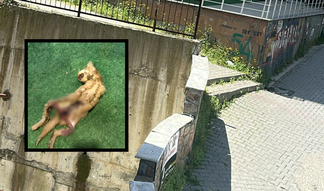 Zonguldak merkeze bağlı İncivez