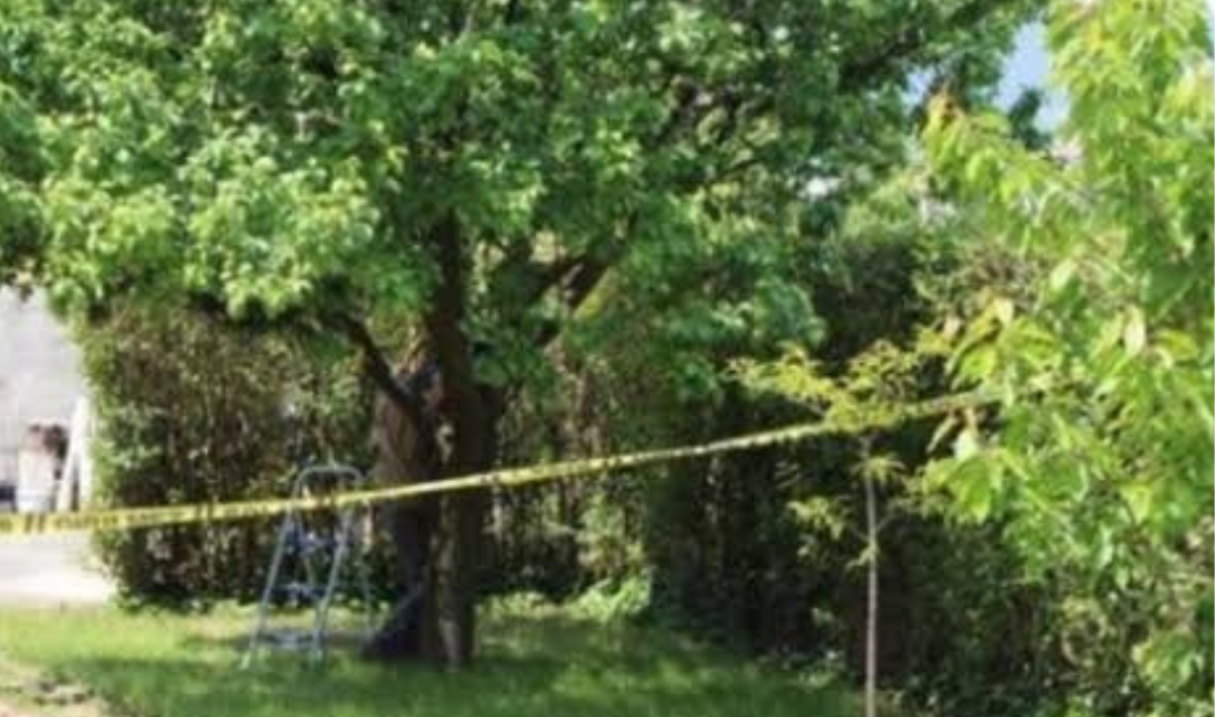 Zonguldak’ın Ereğli ilçesinde yaşayan
