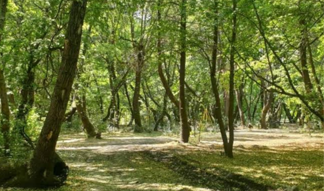 Zonguldak Valiliği yaptığı duyuruda