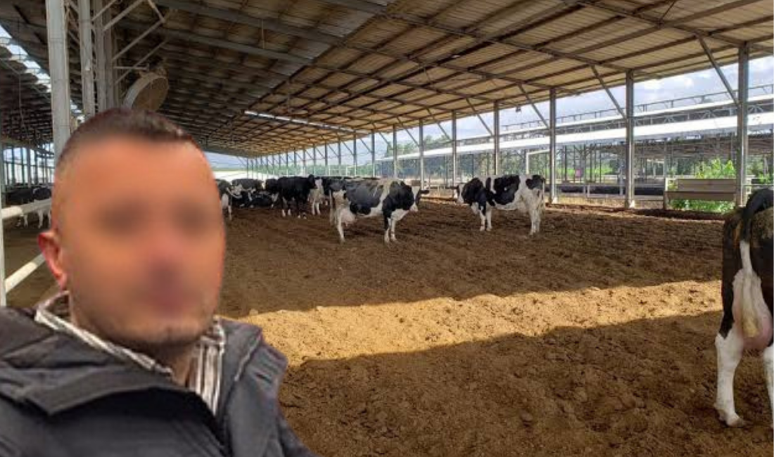 Zonguldak’ın Çaycuma ilçesinde üç