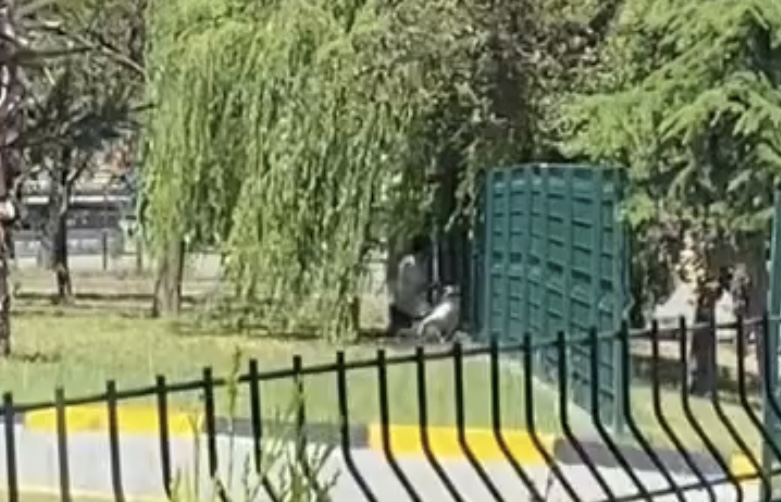 Zonguldak Devrek’te bir kadın,