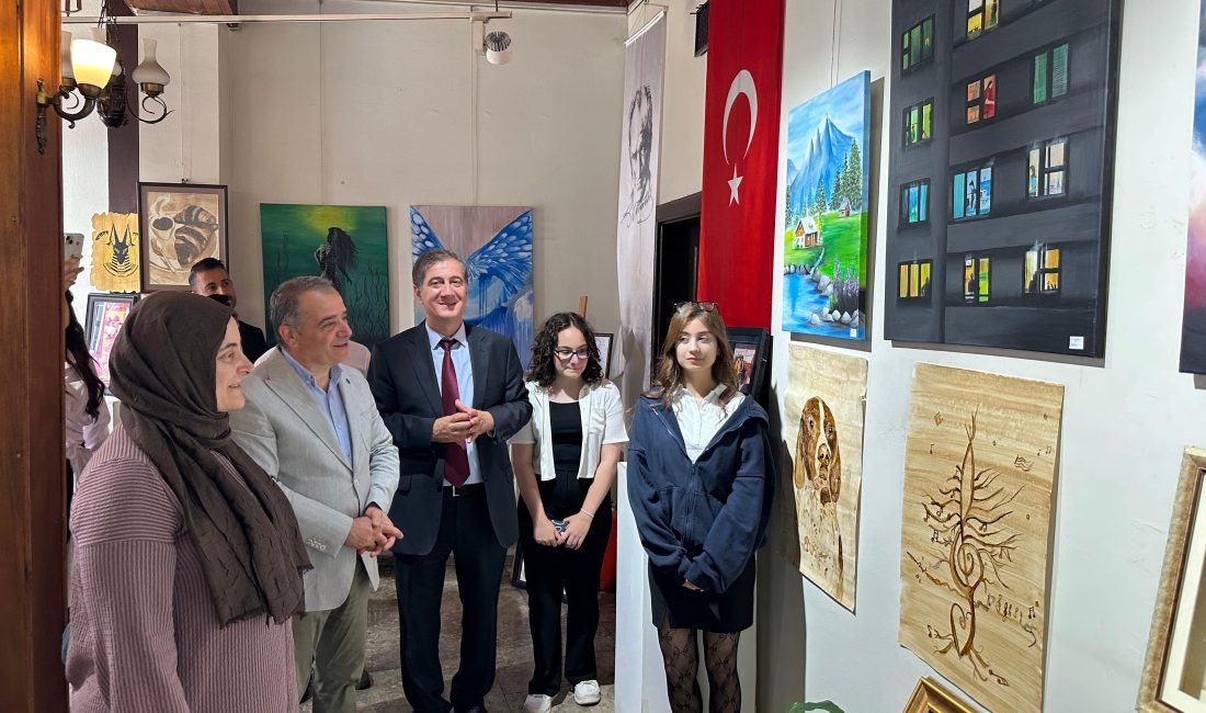 Zonguldak Erdemir Anadolu Lisesi