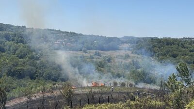 Çaycuma’da ormanlık alanda yangın