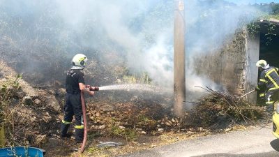 Kozlu’da ormanlık alanda yangın çıktı