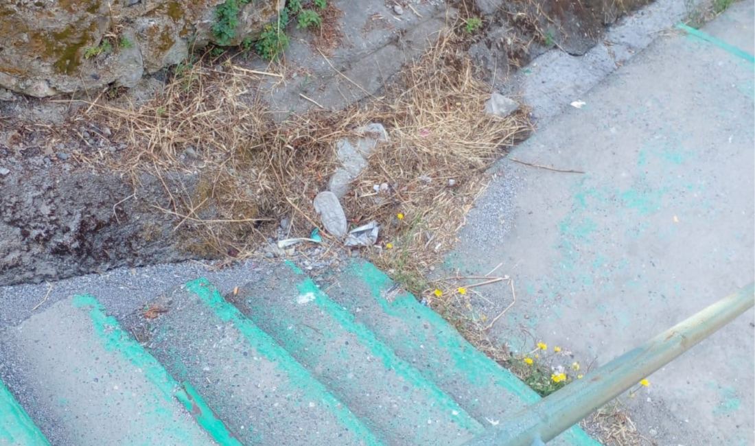 Zonguldak’ta temizlenmeyen kanallar vatandaşın