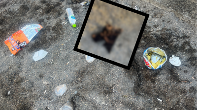 Tersane plajındaki manzara görenleri şoke etti