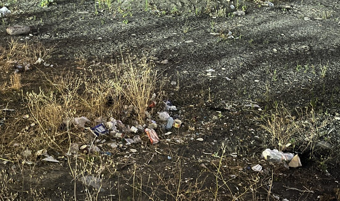 Zonguldak’ın Kozlu ilçesinde, sahile