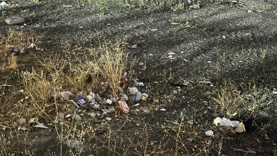 Kozlu Sahili çöplüğe döndü