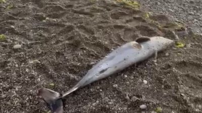 Orta Kapuz plajında yürek burkan manzara