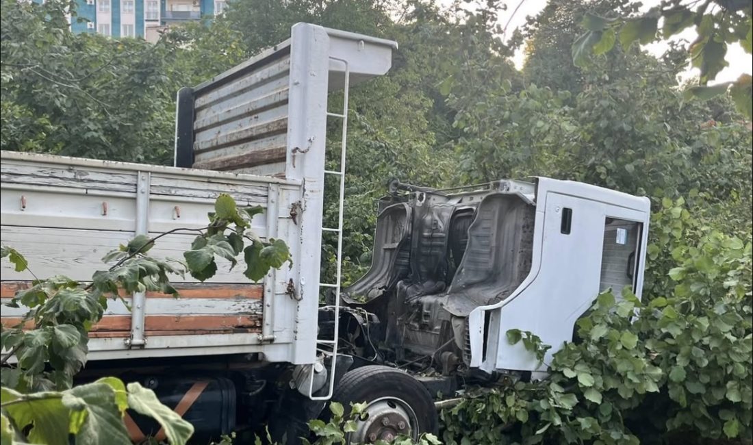 Zonguldak’ın Alaplı ilçesi Kılçak