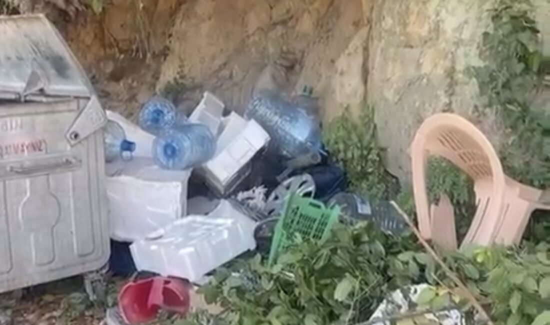 Zonguldak’ın Kozlu ilçesine bağlı