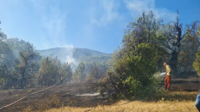 Devrek’te Sofular Köyünde yangın