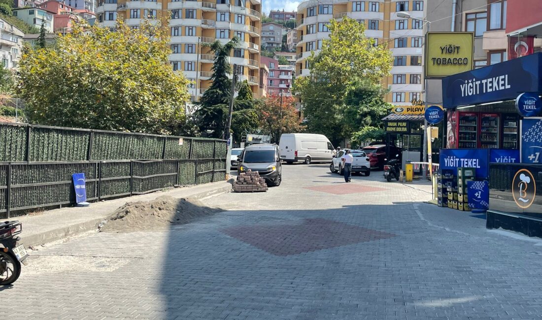 Zonguldak’ta İncivez Mahallesi Çaybaşı