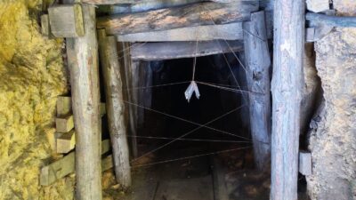 Zonguldak’ta 5 kaçak maden ocağına imha