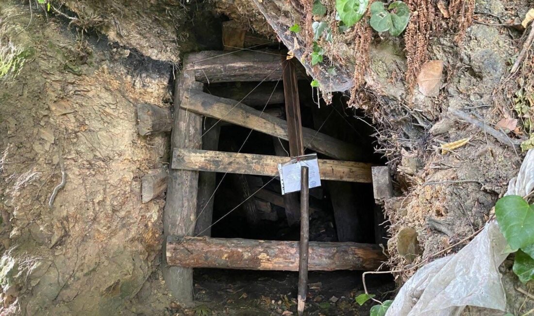 Zonguldak’ta ruhsatsız olarak işletilen