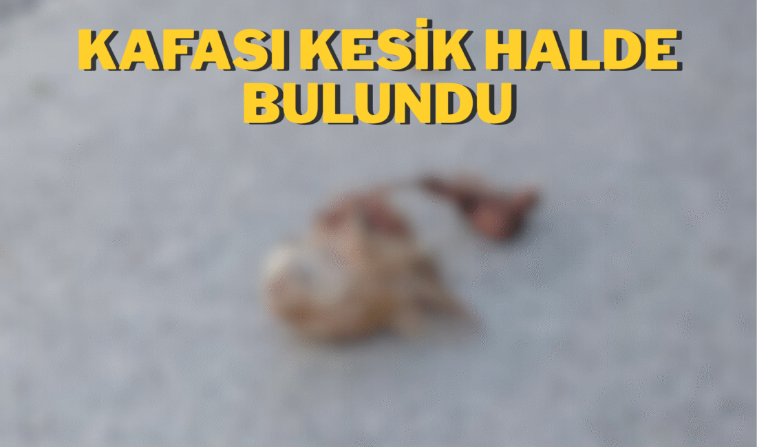 Zonguldak’ta İncivez Mahallesi’nde Güney