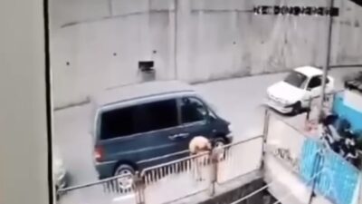 Zonguldak’ta işkence! Vicdan sızlatan görüntüler