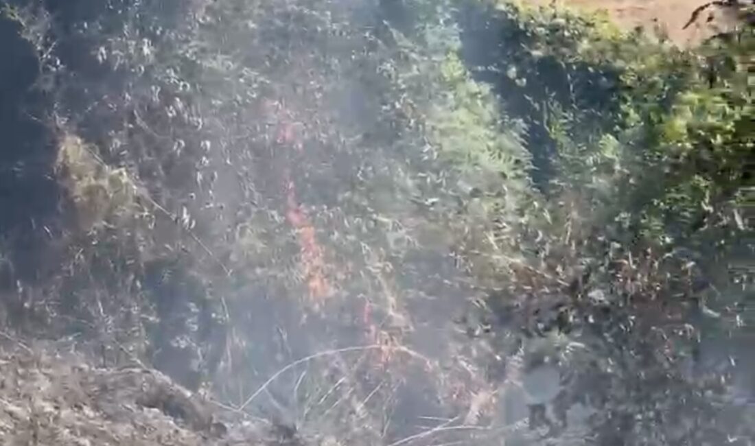 Zonguldak’ın Kozlu ilçesinde çıkan