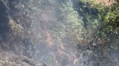 Kozlu’da anız yangını paniğe yol açtı