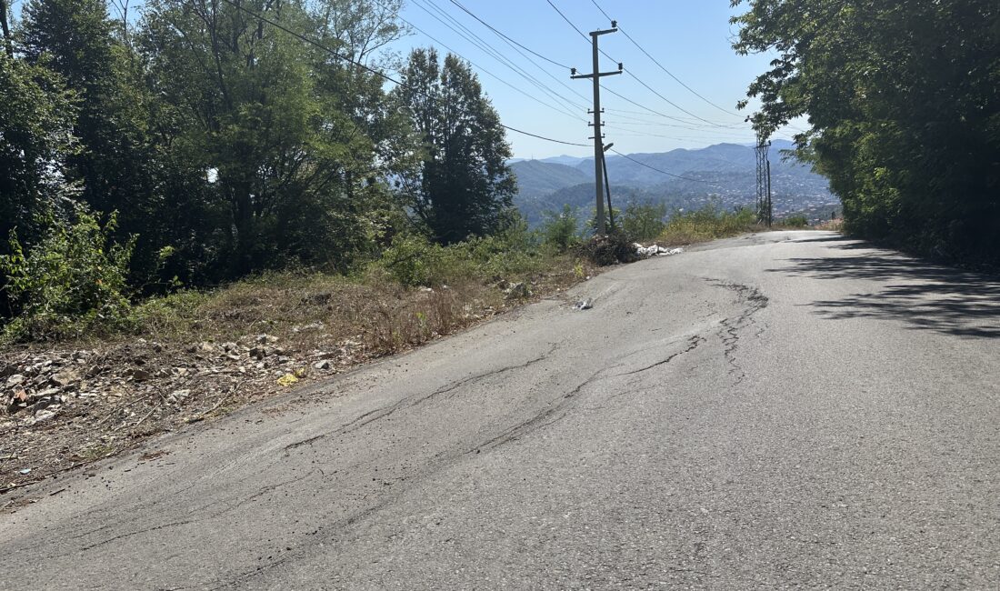 Zonguldak’ta Asri mezarlığa çıkılan