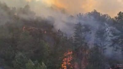 Devrek’te orman yangını çıktı